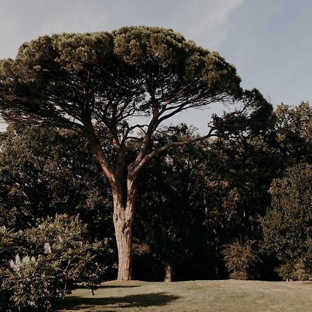 ホテル Domaine D'En Fargou Saint-Sulpice  エクステリア 写真