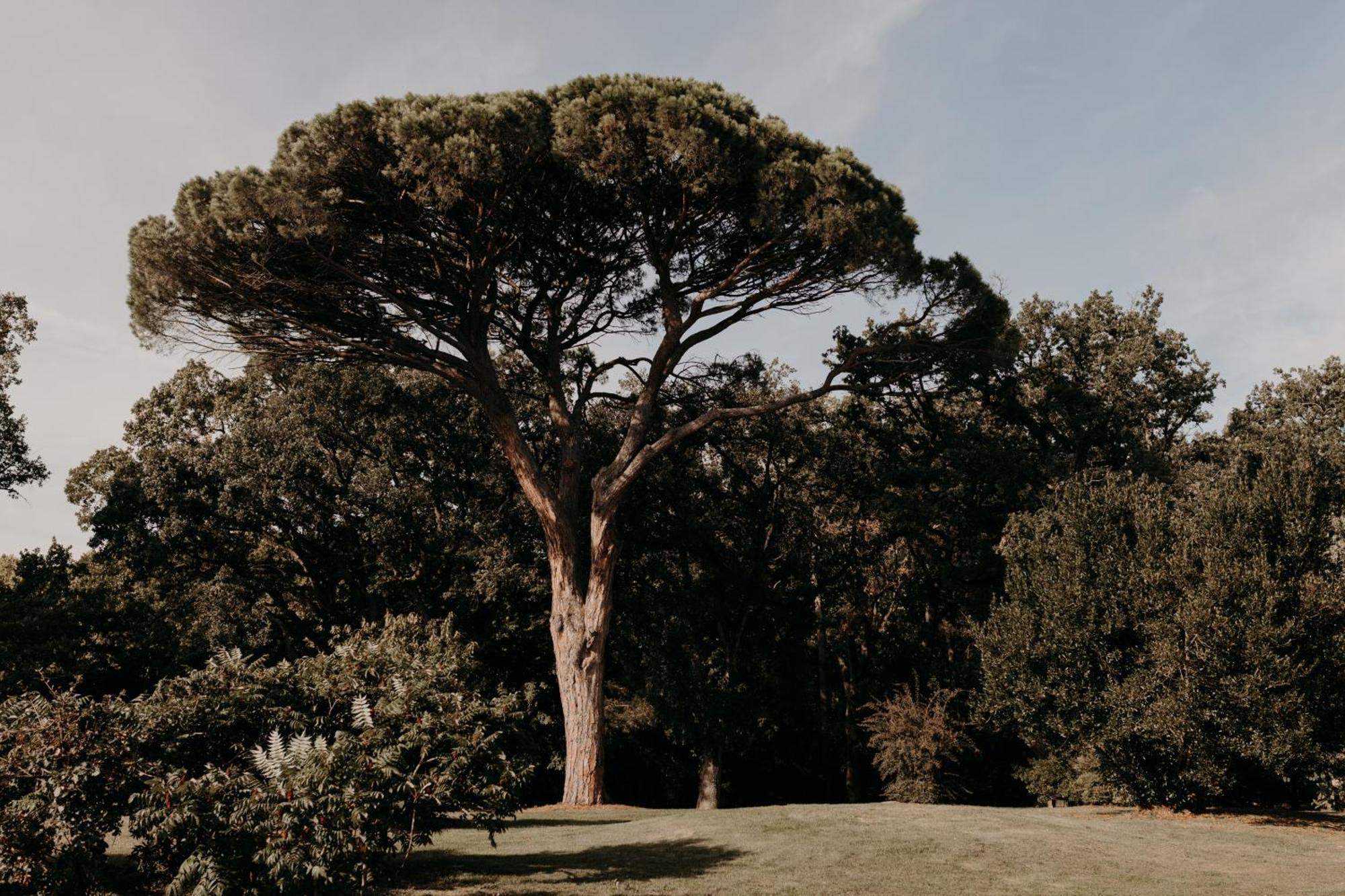 ホテル Domaine D'En Fargou Saint-Sulpice  エクステリア 写真